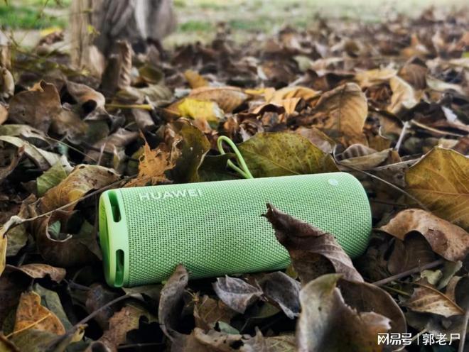EI Sound Joy 2去拥抱自然米乐m6双11户外音箱推荐带HUAW(图3)